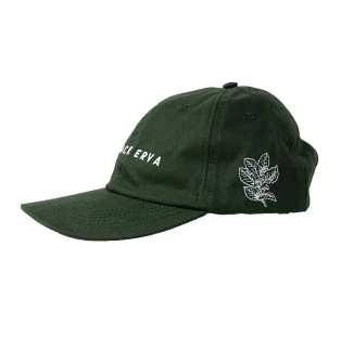 Boné VERDE Black Erva Edição limitada - 2024